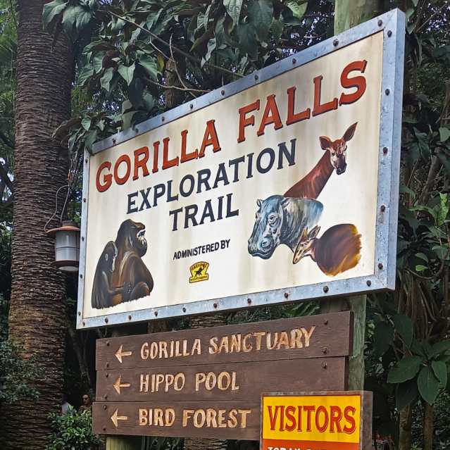 Gorilla Falls Exploration Trail