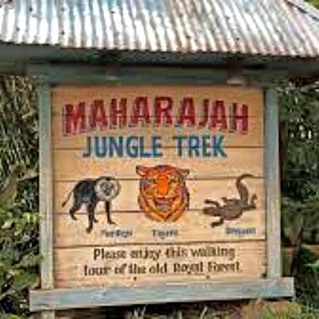 Maharajah Jungle Trek